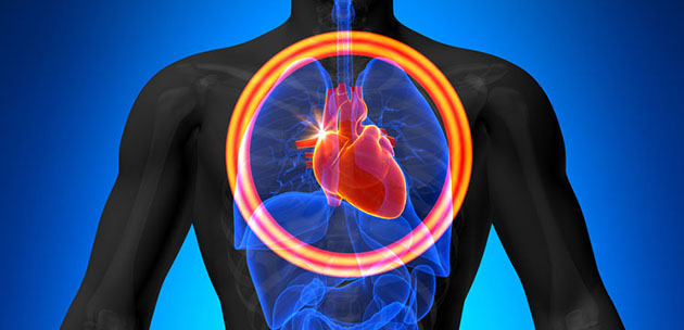 Coverage Initiated on Company with a 'Genuine Physiological Heart Replacement Therapy'