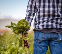 Food Supply Company Makes $53 Million in July