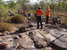 Uranium Co. Reports Solid Drill Results at Alligator River