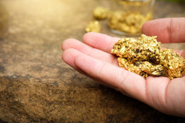 Gold Company Sees Shining Future