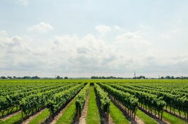Potash Company Receives Essential Permit