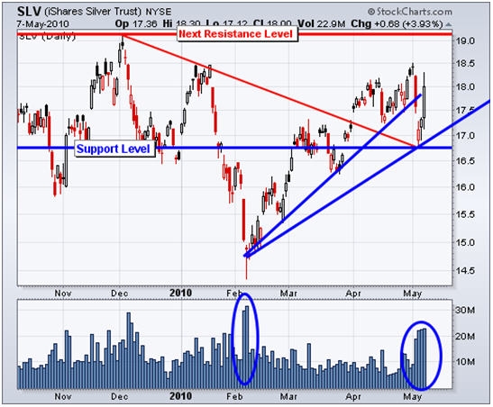 Chris_Vermeulen_Gold_silver_dollar