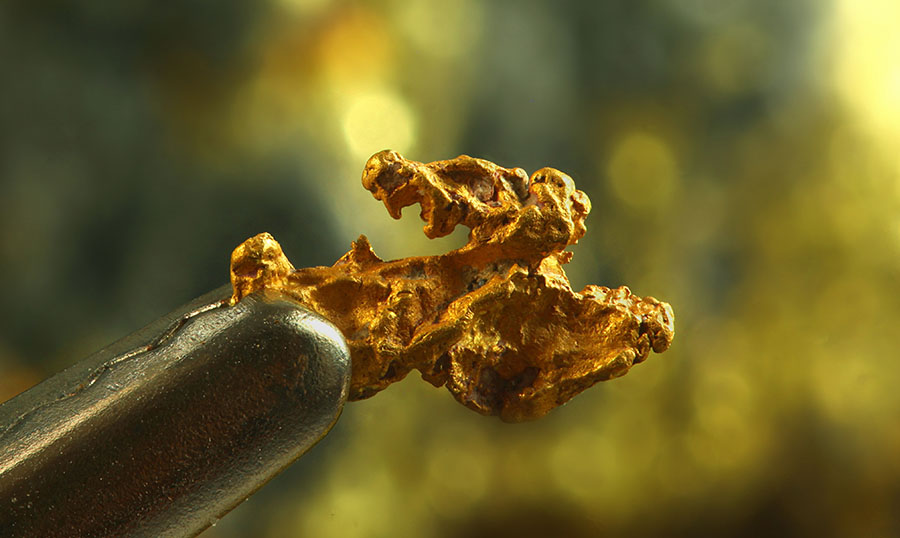 Gold Nugget