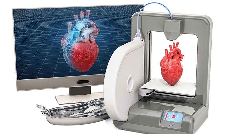 3D Organ printing