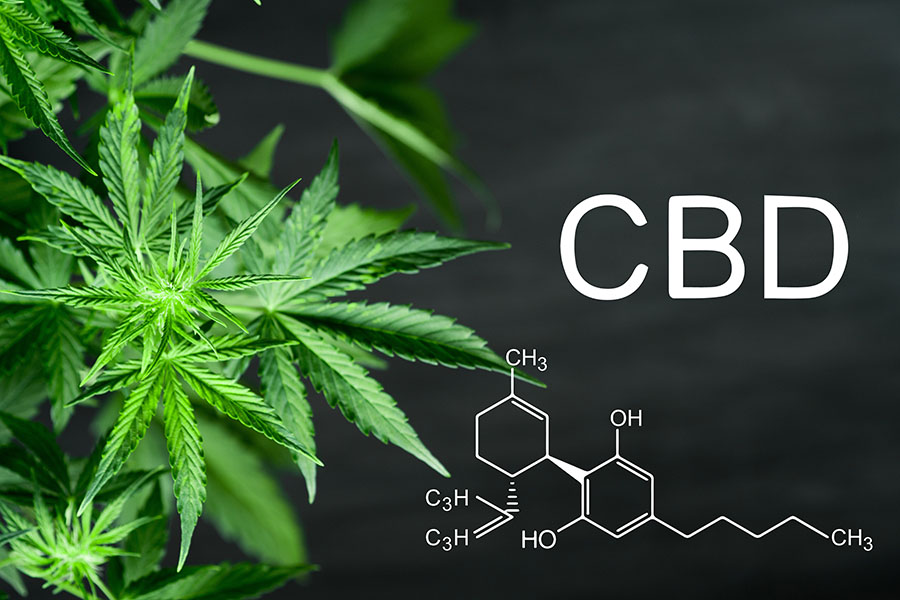 How To Give Your Pet CBD 3