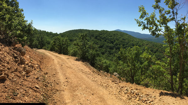 Access road on the Rozino property