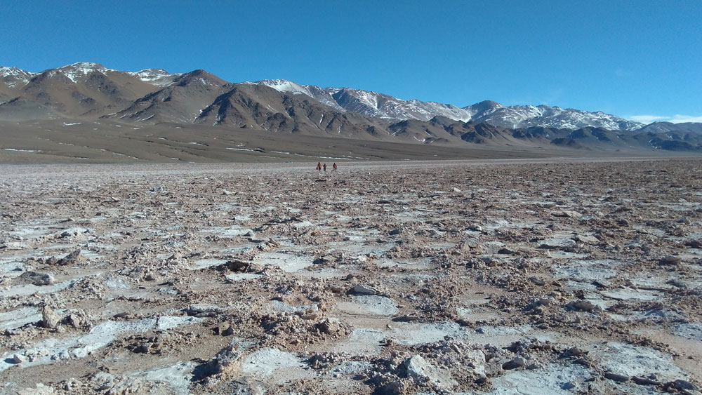 argentina lithium the critical investor