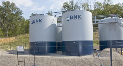 BNK Petroleum