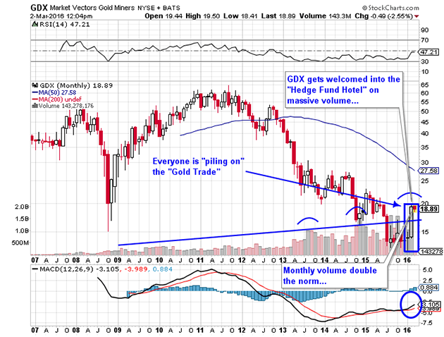 Market Vectors Gold Miners chart