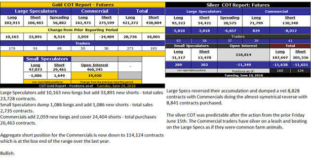 COT Report