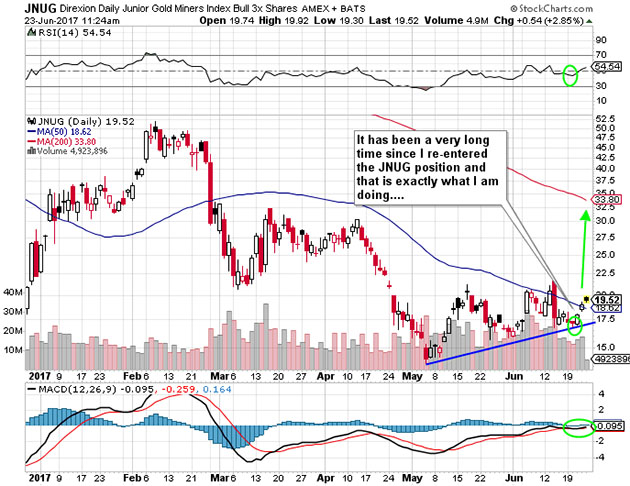 Jnug Etf Chart