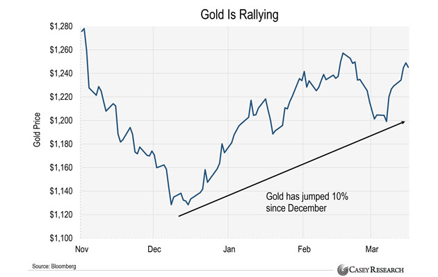 Gold is rallying