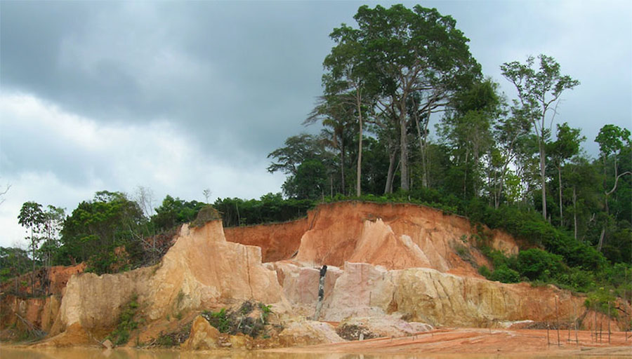 Cabral Cuiu-Cuiu project