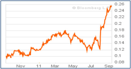 Gold, Investing, David Coffin, Eric Coffin