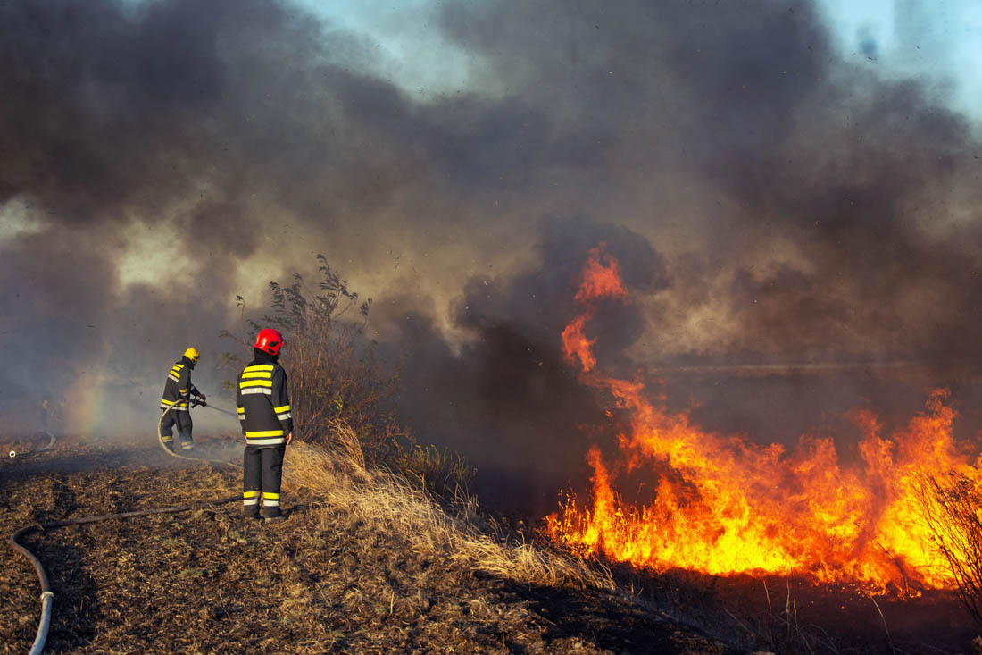 AI Climate Risk Co. Partners With Top Canadian Business Firm