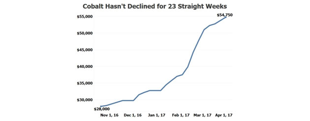 Cobalt Price