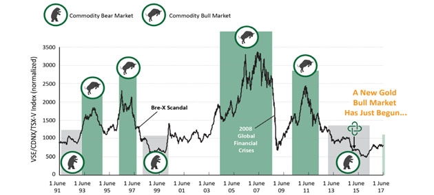 Bull and Bear Markets