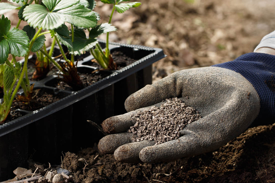 GardenerFertilizer.Adobe.jpg GardenerFertilizer.Adobe.jpg