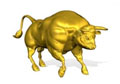 gold bull