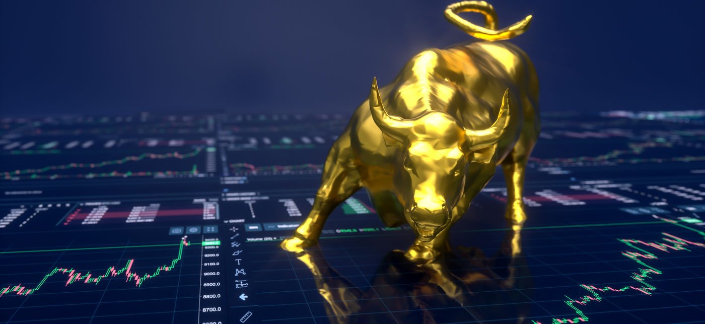 Metals Bull Market