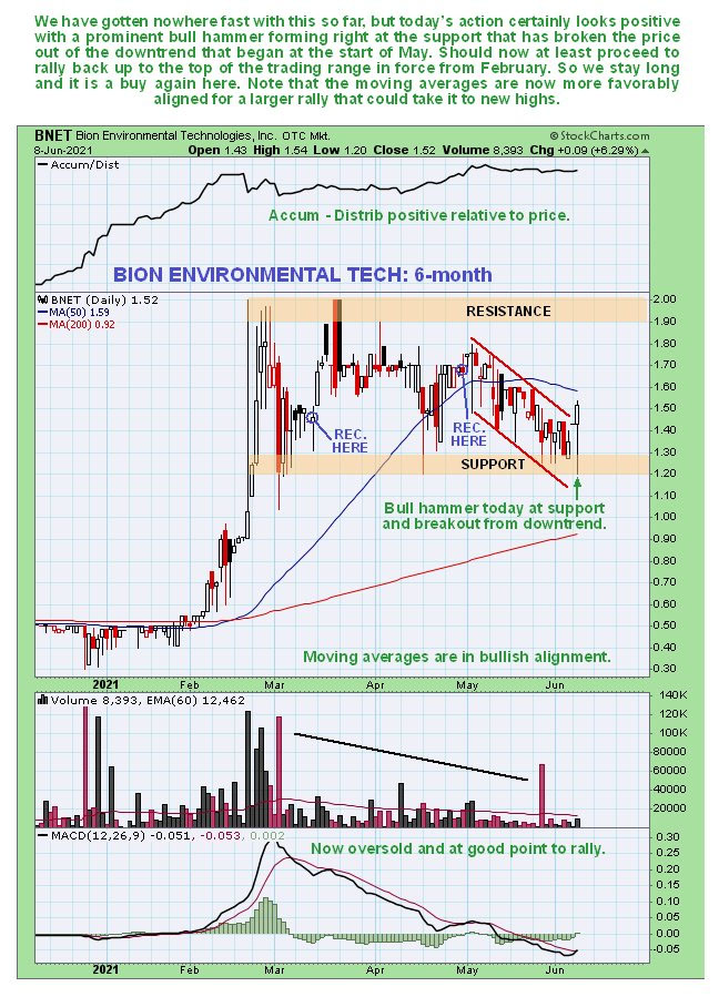 Bion Environmental Technologies chart