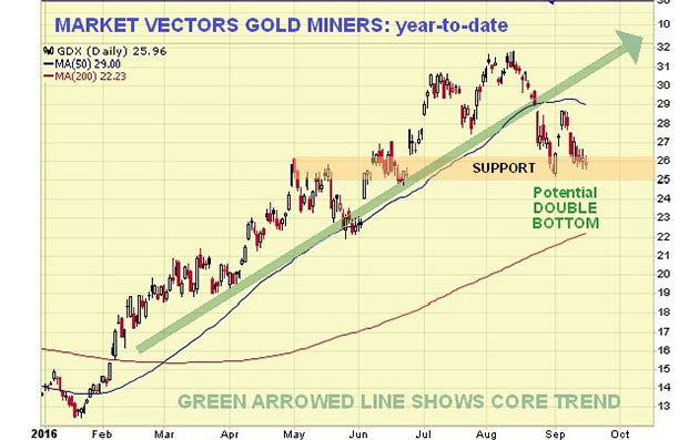 GDX YTD Chart