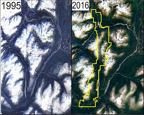 1995 vs 2016