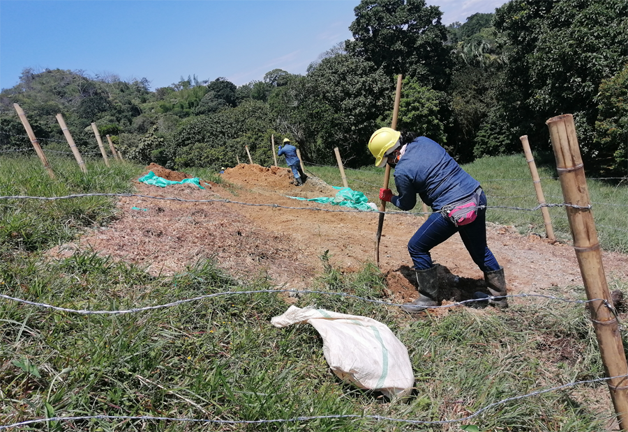Drilling Reveals Deep Mineralization at Colombia Project