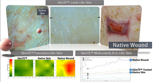 PolarityTE SkinTE