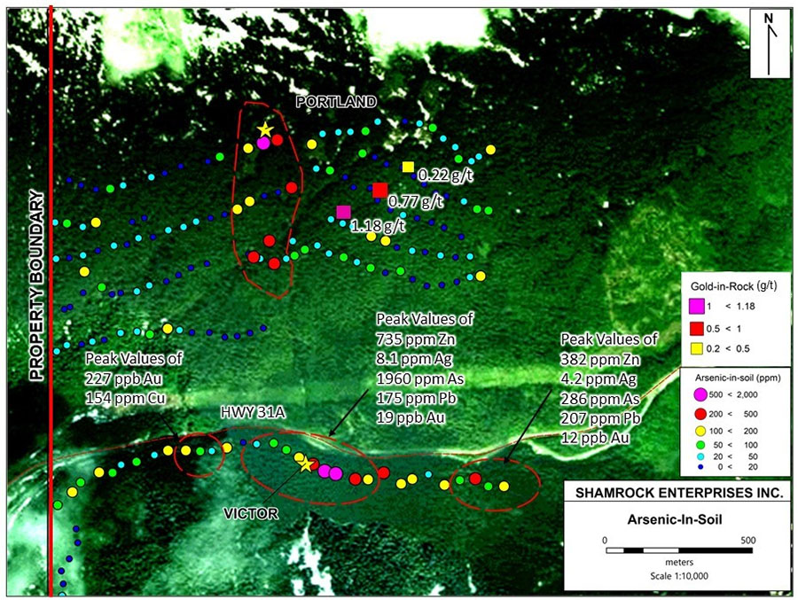 Gold mineralization near the Portland Showing