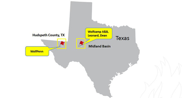 Torchlight Energy's Projects