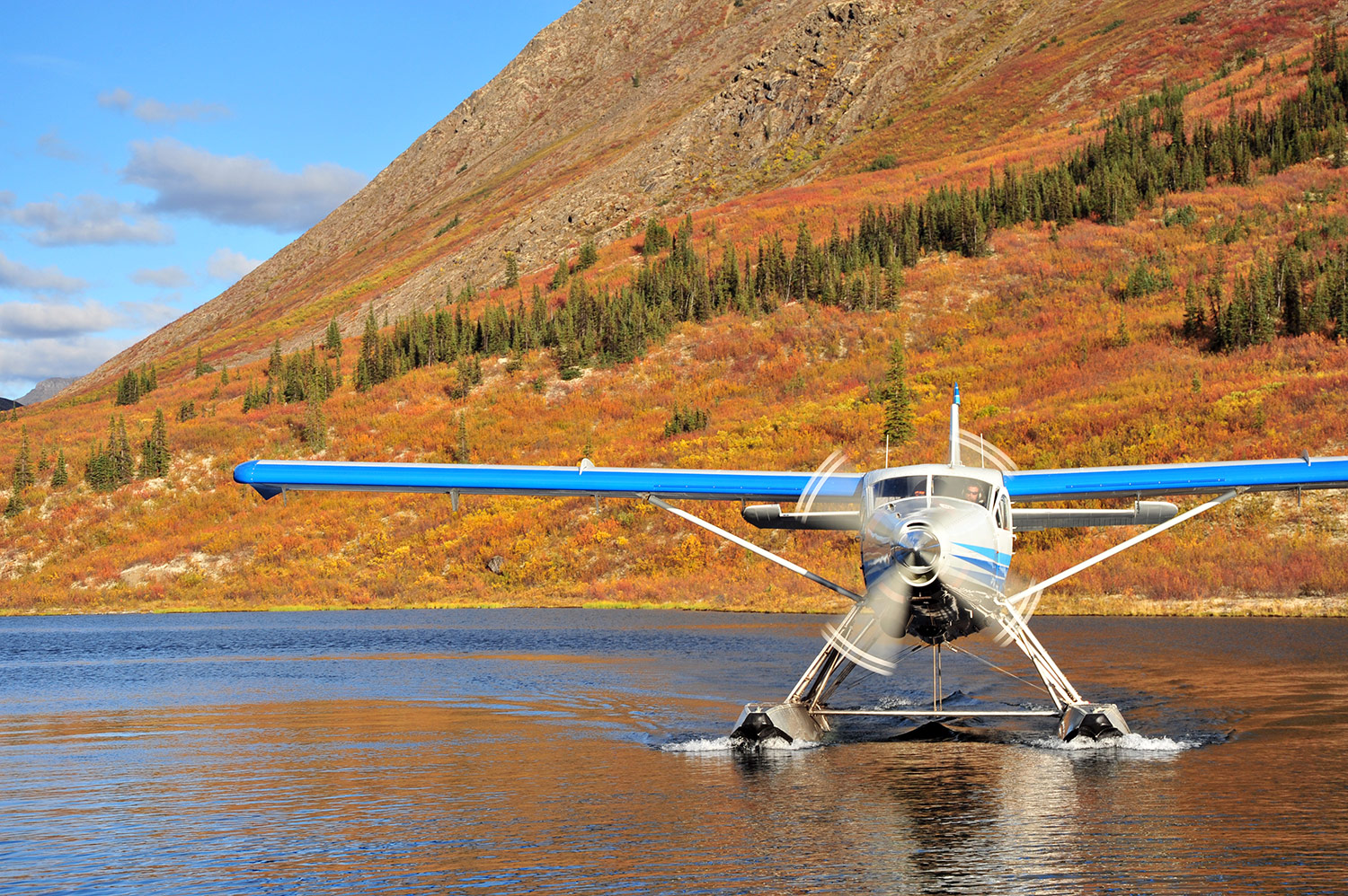 snowline gold helicoptor