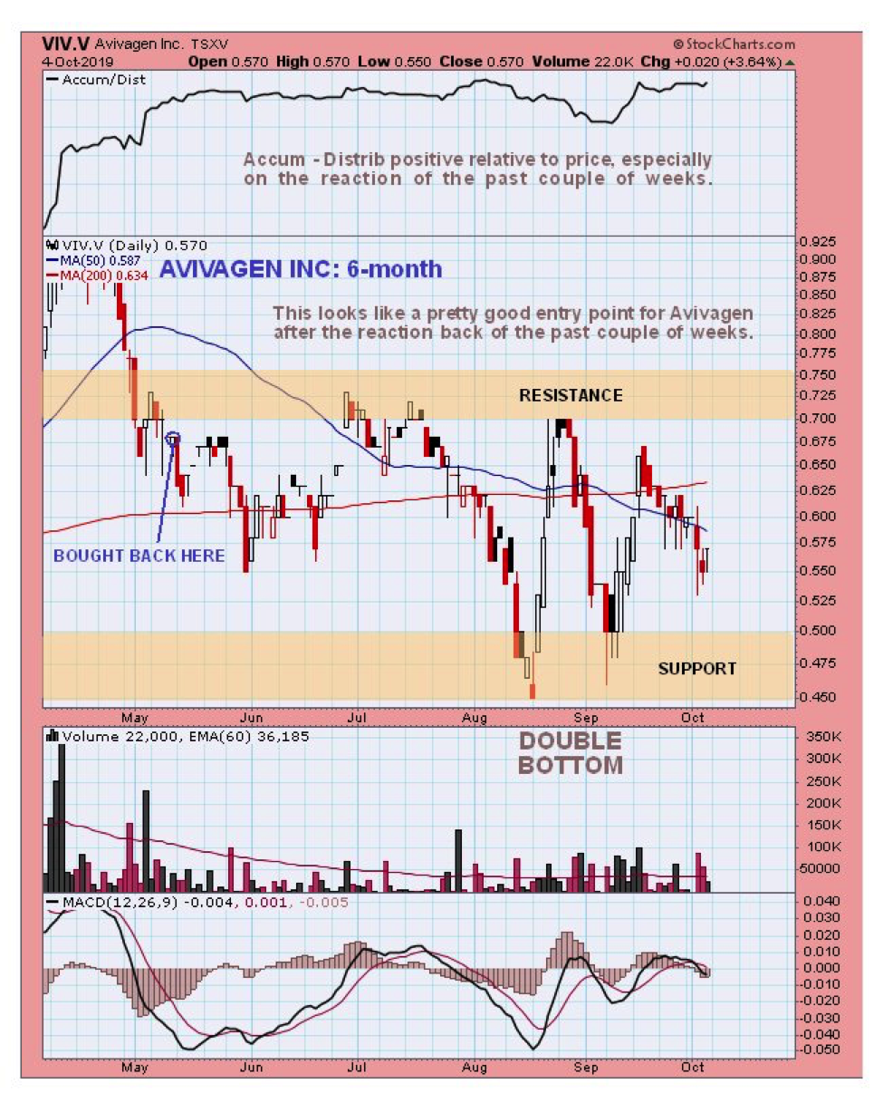 Live Stock Volume Chart