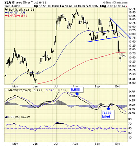 chanslv10-15