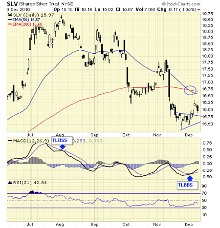 chanslv12-10