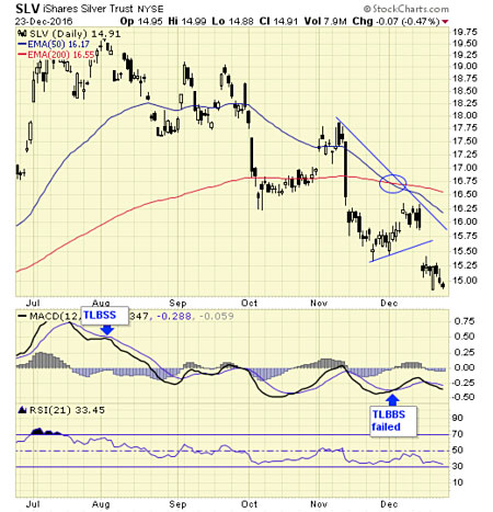 chanslv12-24