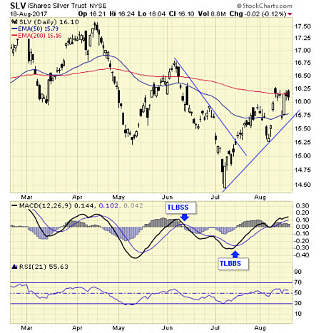 chanslv8-20