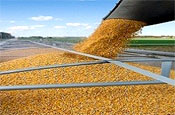 potash