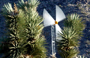 wind farms, eagles