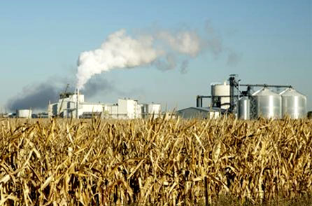 EPA: Biofuels bad for the environment