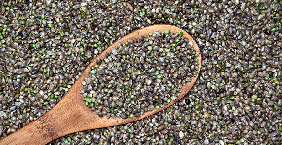 Hemp seeds