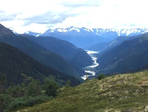 Forrest Creek drainage