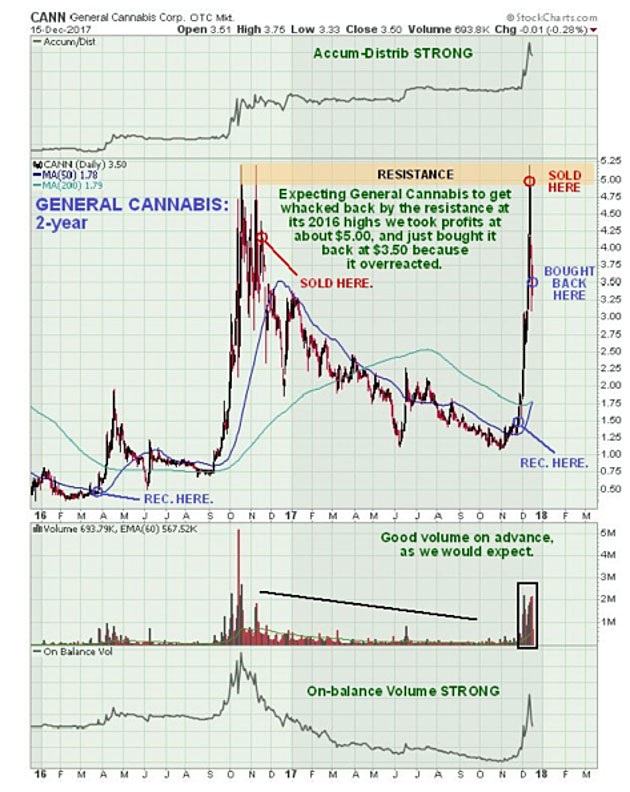 maundcannabis12-17