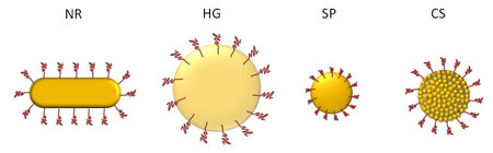 nanoparticles