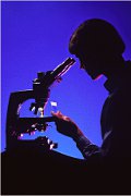 pathologist1