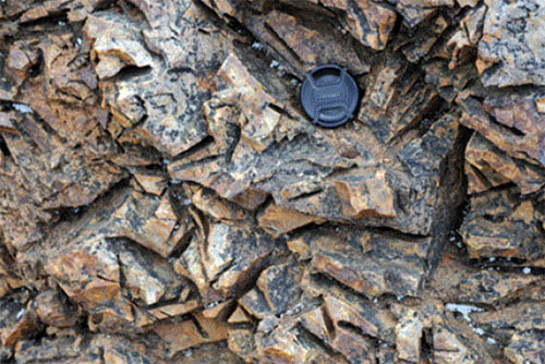 Large calcite crystals in a silicified vein outcropping
