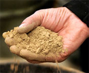 rare earths