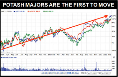 Potash majors