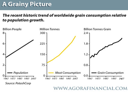 Global grain consumption
