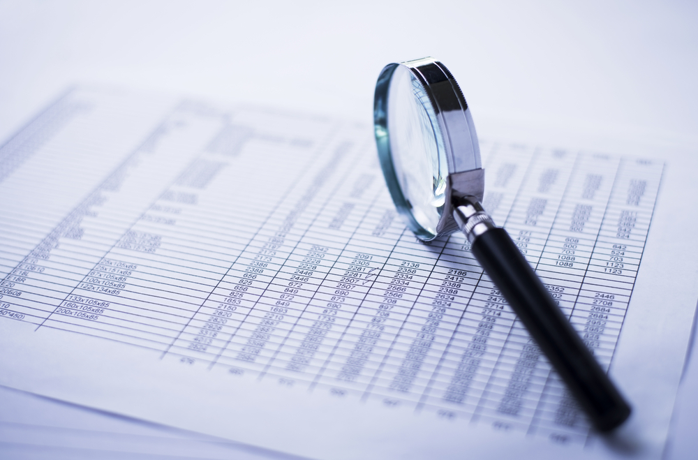 Spreadsheet magnifier